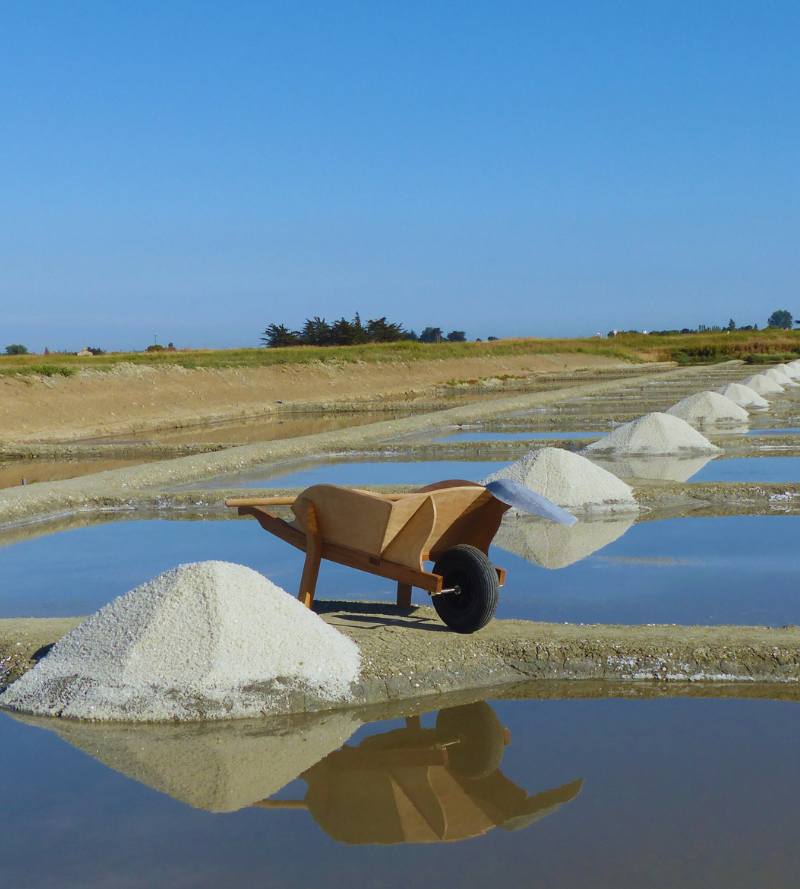 marais Sel marin Noirmoutier Le sel de Ronan