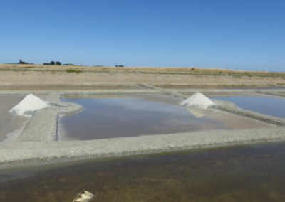 Pureté de la fleur de sel de noirmoutier