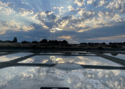 La production de fleur de Sel de Noirmoutier