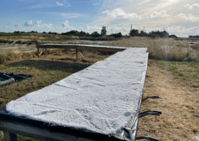 La fleur de sel de Noirmoutier de Ronan Guittonneau