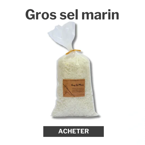 Gros sel marin 1