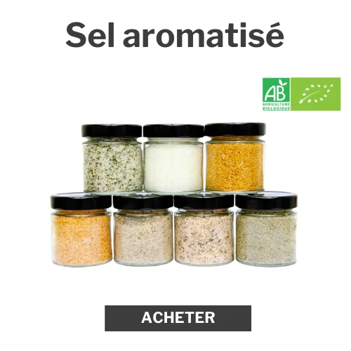 sel aromatisé pots